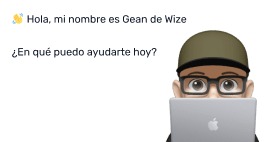 Wize contacto